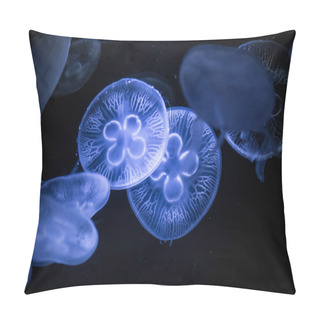 Personality  Moon Jellyfish On Dark Background. Aurelia Aurita - Also Called The Common Jellyfish Underwater. Pillow Covers