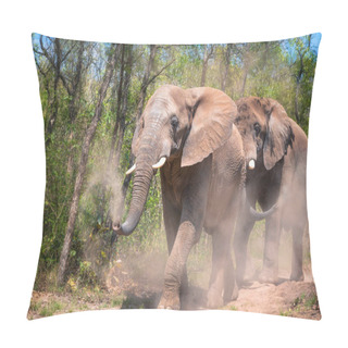 Personality  Elephants Kick Up And Spray Themselves With The Red Dust Of Kruger, South Africa.  Pillow Covers