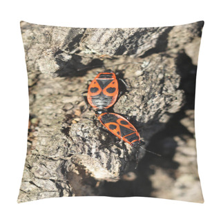 Personality  A Pair Of Firebugs On The Bark Of A Tree. Macro Pillow Covers