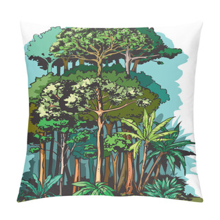 Personality  Vector Illustration Of Rain Forest Layers By Height. Pillow Covers
