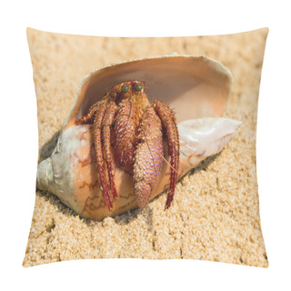 Personality  Hermit Crab In The Shell On A Sand Beach Pillow Covers