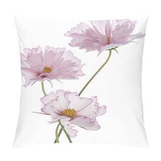 Personality  Cosmos Pillow Covers