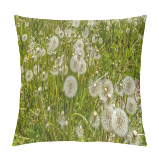 Personality  Panorama White Dandelions Thriving Near A Rocky Creek Surrounded By Lush Green Foliage Pillow Covers