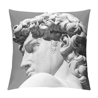 Personality  Head Of David Sculpture By Michelangelo Pillow Covers