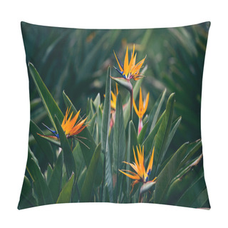 Personality  Strelitzia Flowers Blossoming   Pillow Covers