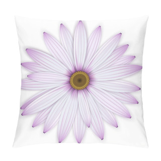 Personality  Single Purple Daisy (osteospermum) Flower. Pillow Covers
