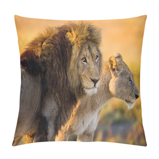 Personality  Two Young Lions In The Savanna. Pillow Covers