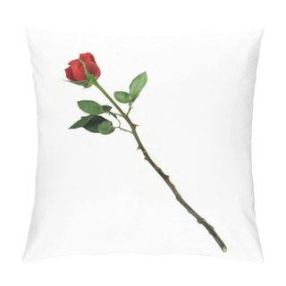 Personality  One Rose Pillow Covers