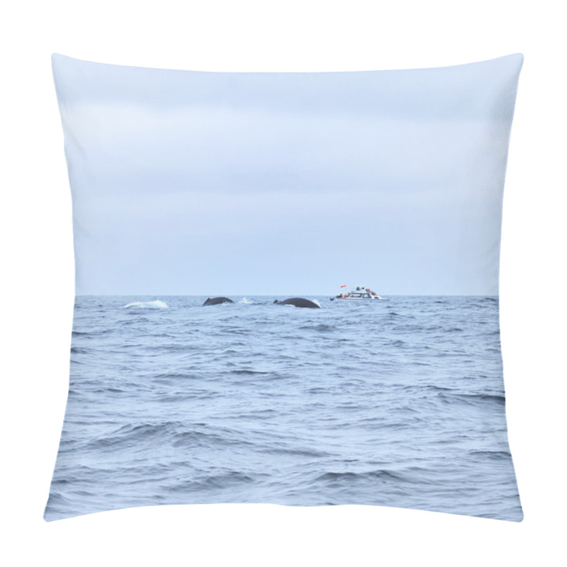 Personality  Humpbacked Whales Pillow Covers