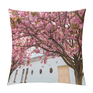 Personality  Branches Of Blossoming Pink Flowers On Cherry Tree Near Building On Street Pillow Covers