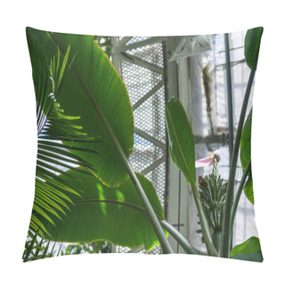 Personality  Low Angle View Of Palm Green Leaves Agianst Ceiling In Botanical Garden  Pillow Covers