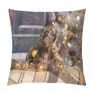 Personality  Chocolate Dachshunds Dog; Marble Dachshund Pillow Covers
