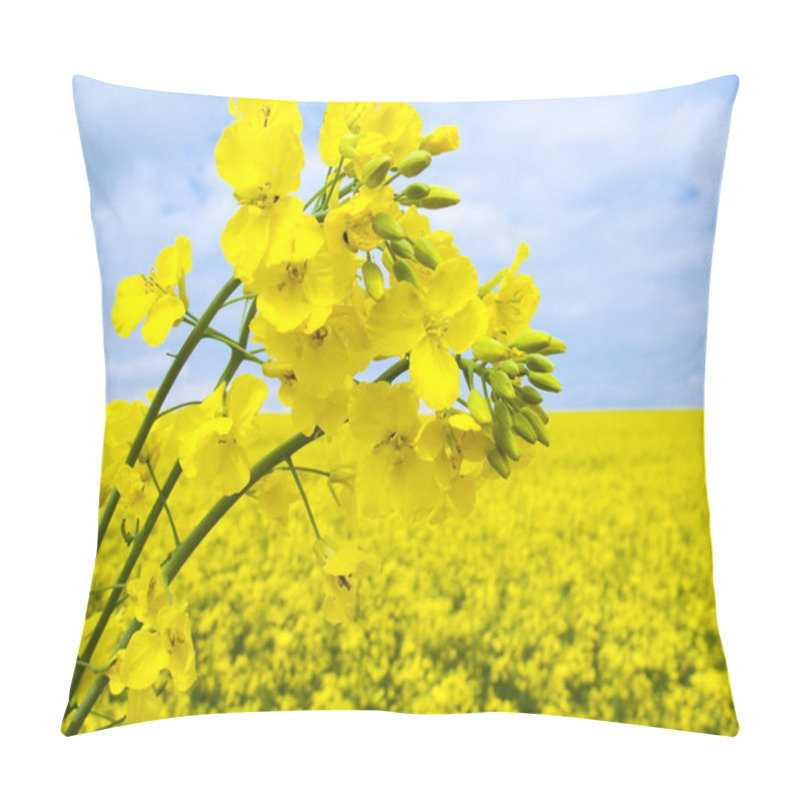 Personality  Flowering Oilseed Rape Pillow Covers