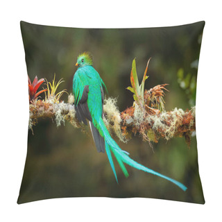Personality  Exotic Bird With Long Tail. Resplendent Quetzal, Pharomachrus Mocinno, Magnificent Sacred Green Bird From Savegre In Costa Rica. Rare Magic Animal In Mountain Tropic Forest. Birdwatching In America. Pillow Covers