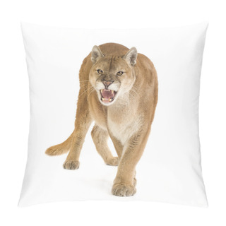Personality  Puma (17 Years) - Puma Concolor Pillow Covers