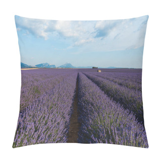Personality  Beautiful Blooming Lavender Flowers And Distant Mountains In Provence, France Pillow Covers