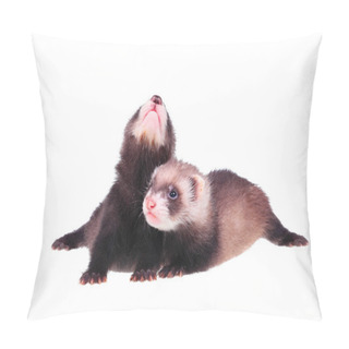 Personality  Little Ferret Babies Pillow Covers