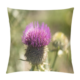 Personality  Purple Flower Of Thistle - Monte Baldo Italy Pillow Covers