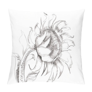 Personality  Sketch With Sunflower Pillow Covers