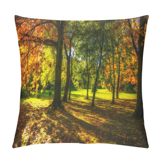 Personality  Beautiful Colorful Autumn. Pillow Covers