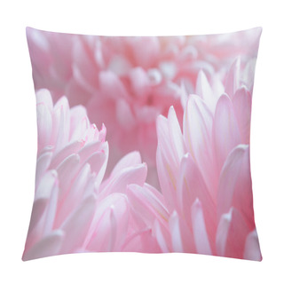 Personality  Close Up Image Of The Beautiful Pink Chrysanthemum Flower Pillow Covers