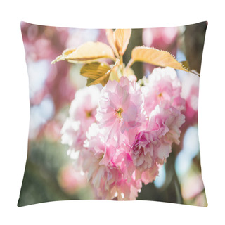 Personality  Close Up View Of Pink Flowers On Branch Of Sakura Tree  Pillow Covers