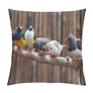 Personality  Selective Focus Of Cute And Colorful Exotic Birds On Wooden Branch Pillow Covers