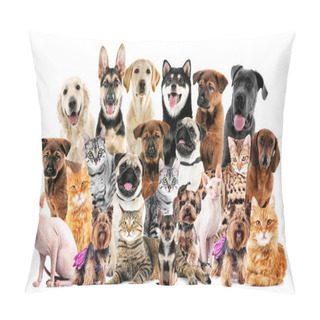 Personality  Group Of Cute Pets  Pillow Covers