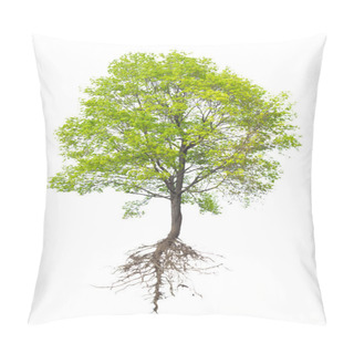 Personality  Tree With A Root Pillow Covers