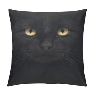 Personality  Close-up Of A Black Cat Looking At The Camera, Isolated On White Pillow Covers