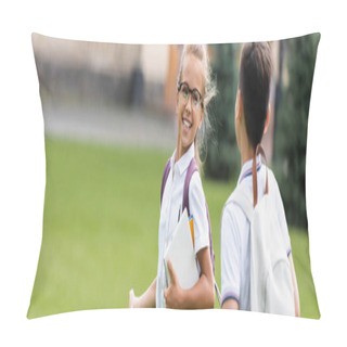 Personality  Positive Schoolgirl With Notebooks Walking Near Friend On Lawn In Park, Banner  Pillow Covers