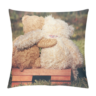 Personality  Two Teddy Bears On Bench Pillow Covers