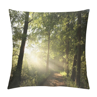 Personality  Deciduous Forest At Dawn Pillow Covers