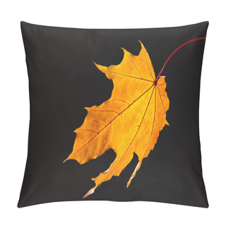 Personality  Beautiful Falling Yellow Maple Leaf Isolated On Black Pillow Covers