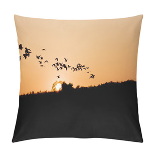 Personality  Sunset Tropical Birds Silhouettes Flying  Pillow Covers