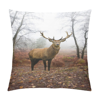 Personality  Red Deer Stag In Foggy Misty Autumn Forest Landscape At Dawn Pillow Covers