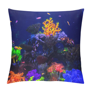 Personality  Tropical Fish With Corals And Algae Pillow Covers