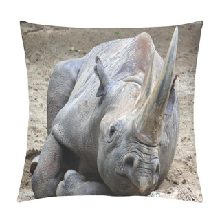 Personality  Nashorn Pillow Covers