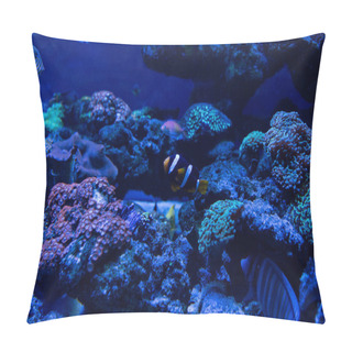 Personality  Fish Swimming Under Water In Aquarium With Corals Pillow Covers