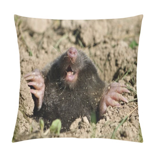 Personality  Talpa Europaea Aka European Mole In His  Hole. Main Enemy Of Every Gardener In Czech Republic. Giant Drilling Digging Hands With Long Claws. Pillow Covers