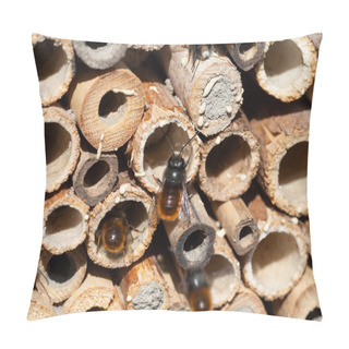 Personality  Mason Bees At An Insect Hotel Pillow Covers