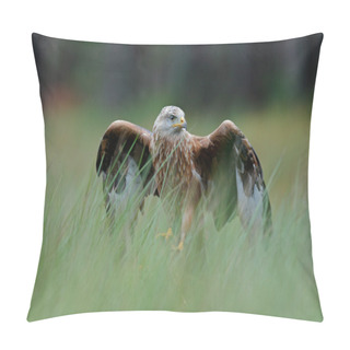 Personality  Bird Of Prey Red Kite Pillow Covers