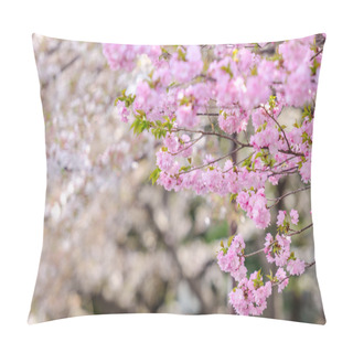 Personality  Sakura Or Japan Cherry Blossom Branches, Which Will Fully Bloomi Pillow Covers