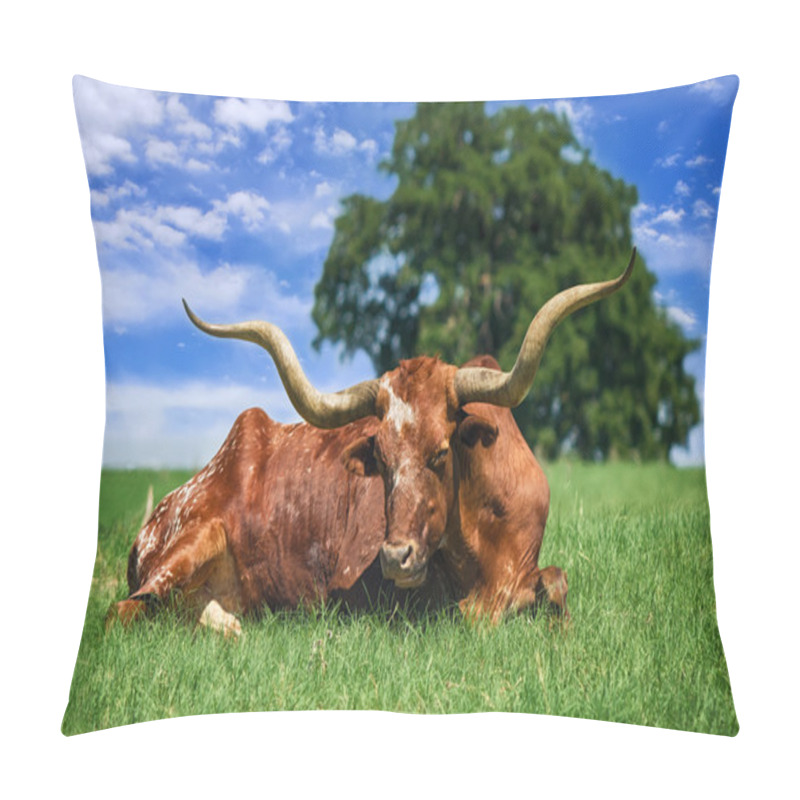 Personality  Texas Longhorn pillow covers