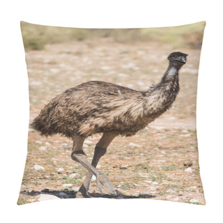 Personality   Emu Walking In Nature Pillow Covers