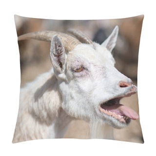 Personality  Close-up View Of Bleating Goat. Pillow Covers