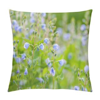 Personality  Veronica Flowers, Macro, Selective Focus Pillow Covers