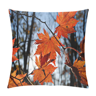 Personality  Maple Leaves, Autumnal Ornament, Autumn Background, Red And Yellow Foliage Pillow Covers