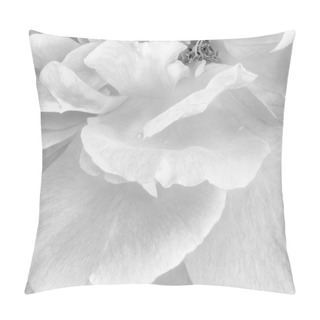Personality  Monochrome Black And White Fine Art Still Life Bright Floral Macro Flower Image Of Rose Petals With Detailed Texture Pillow Covers