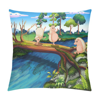 Personality  Hedgehogs Playing At The River Pillow Covers
